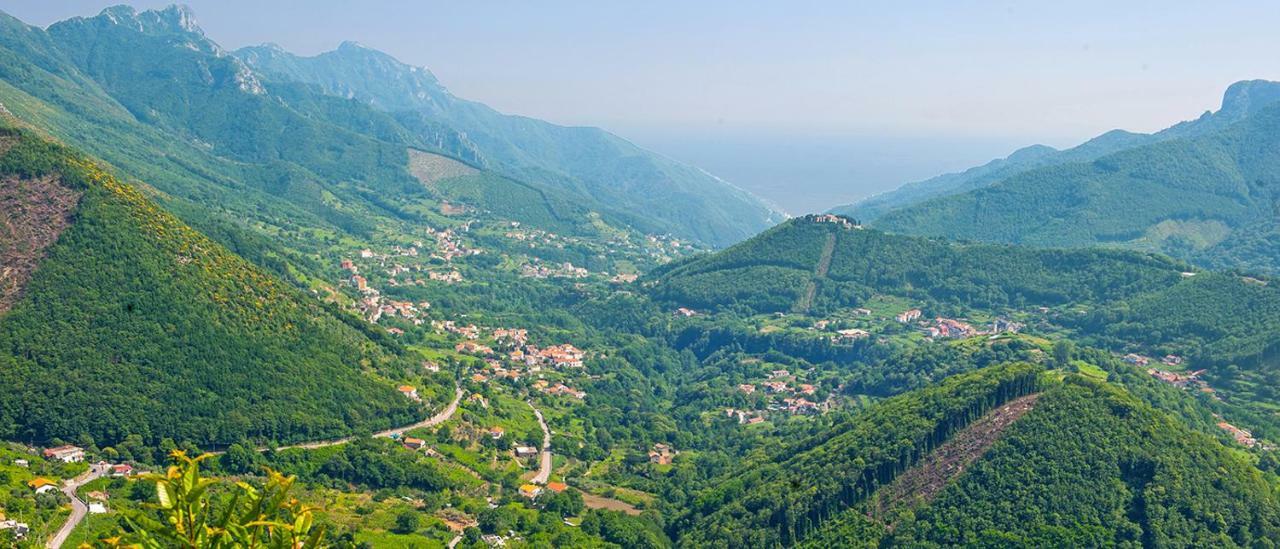 Casa Vacanza Daro Tramonti Ngoại thất bức ảnh