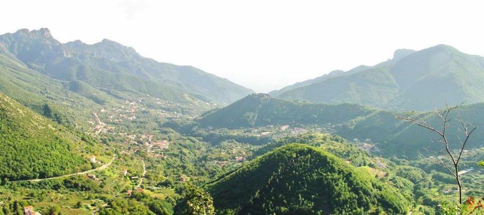 Casa Vacanza Daro Tramonti Ngoại thất bức ảnh